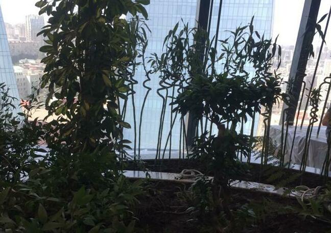 <p>Product&nbsp;</p>