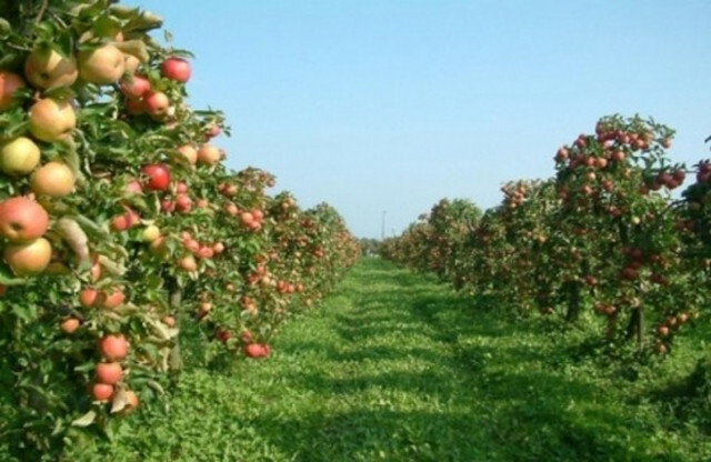 <p>Product&nbsp;</p>