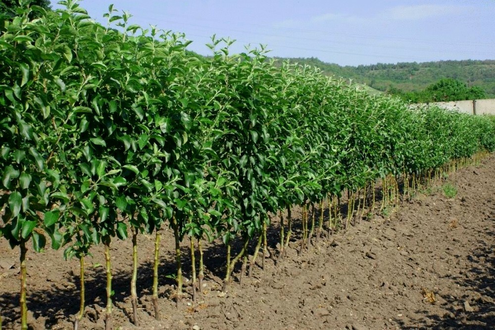 <p>Product&nbsp;</p>