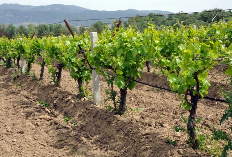 <p>Product&nbsp;</p>